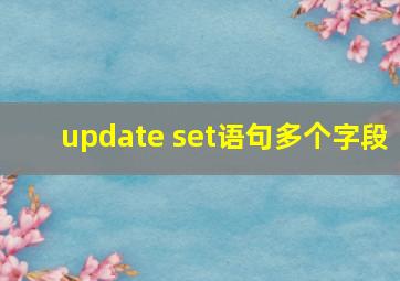 update set语句多个字段